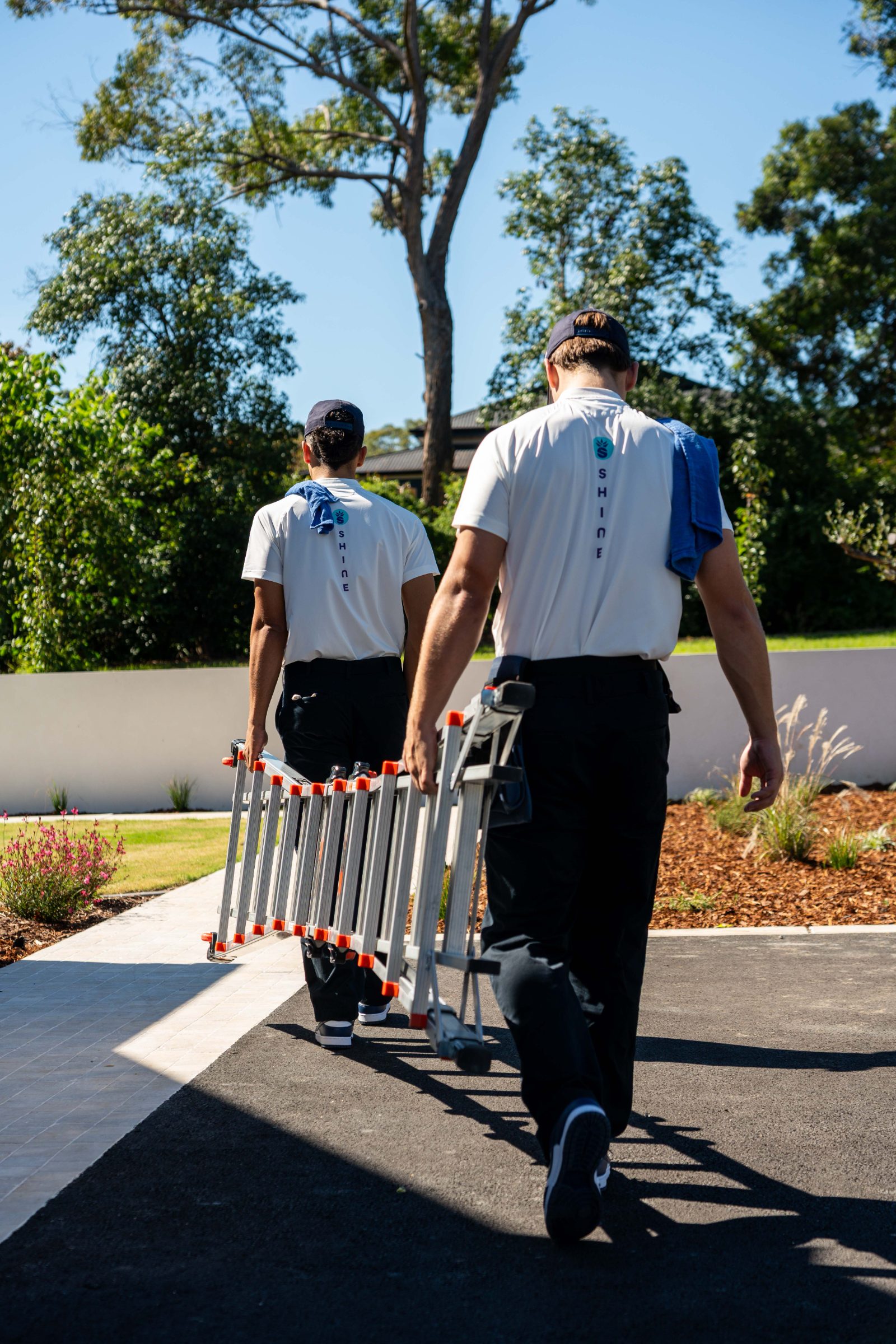 Shine Cleaning window cleaning work in Sydney 14